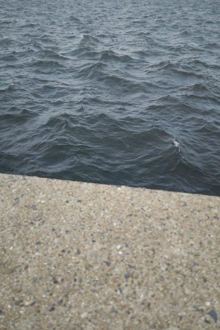 ワームでカマス