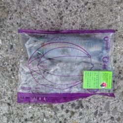 夏アオリゲット！