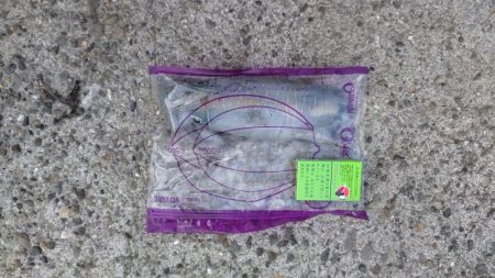 夏アオリゲット！