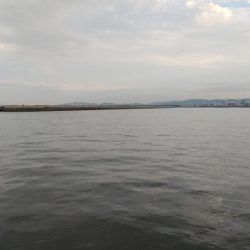 太刀魚狙いでしたが、、、