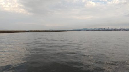 太刀魚狙いでしたが、、、