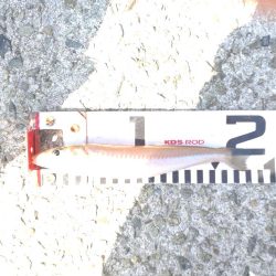 仕掛け選択ミス