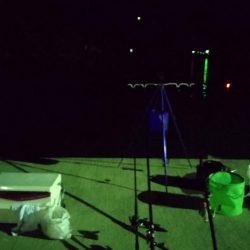 夜釣りも結局、サビキ、、、