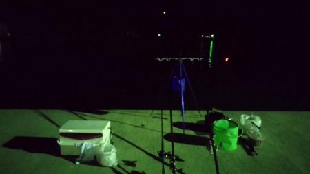 夜釣りも結局、サビキ、、、