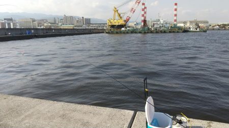 はじめてのサヨリちゃん