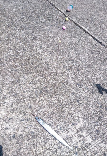 ファミリーフィッシング