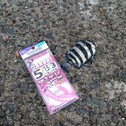 サビキ釣りへ