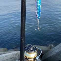 ライトショアジギング