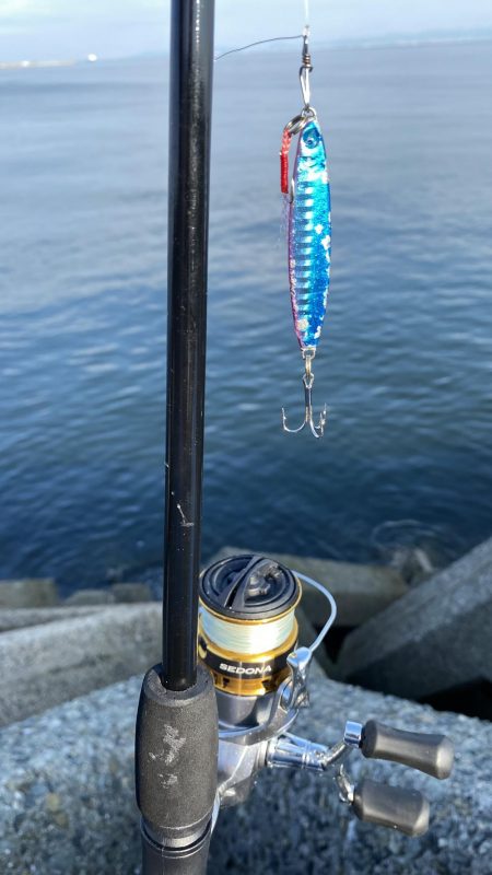 ライトショアジギング