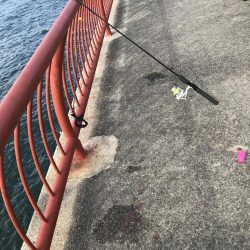 ノマセとショアジギ