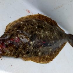 ジギング&キャスティング