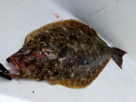 ジギング&キャスティング