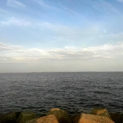 ジグサビキでアジ