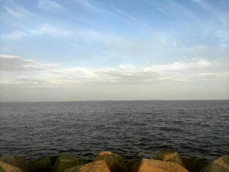 ジグサビキでアジ