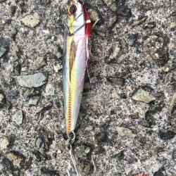 ドン!ときました!