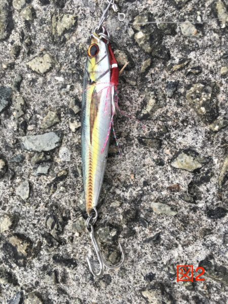 ドン!ときました!