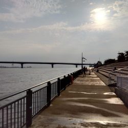 ULSJでカンパチ(シオ)・サバゲー