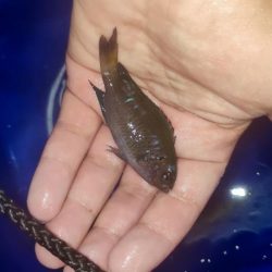 千里ヶ浜で投釣り