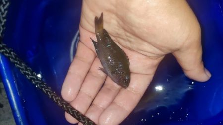 千里ヶ浜で投釣り