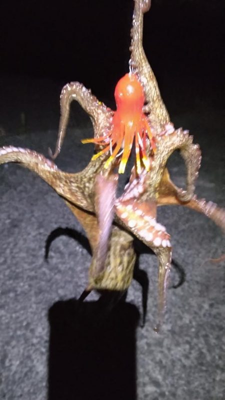 ツ抜けでもキロUP無し