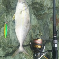 遠投マウスの実力