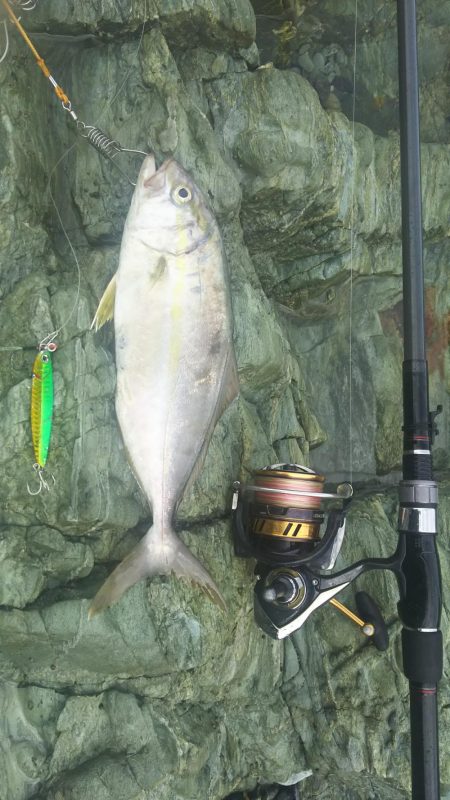 遠投マウスの実力