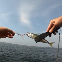 夢洲スリットへライトショアジギング