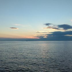 タコでボウズ逃れ