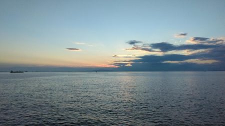 タコでボウズ逃れ