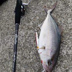 悪天候にも負けず