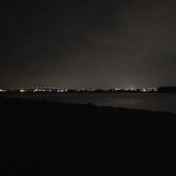 タコを求めて20時間