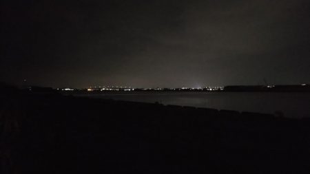 タコを求めて20時間