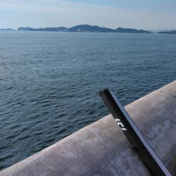 渋いながらも今期初タチウオ