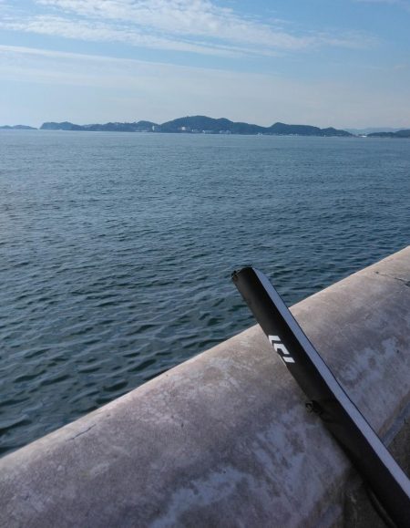 渋いながらも今期初タチウオ