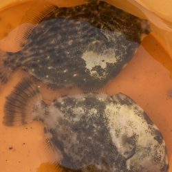 大津川尻でのんびり