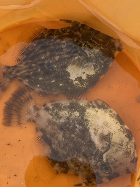 大津川尻でのんびり