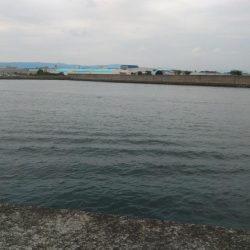 太刀魚リベンジ戦