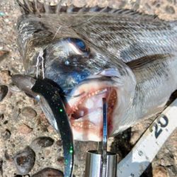 ぶら船下調査！！