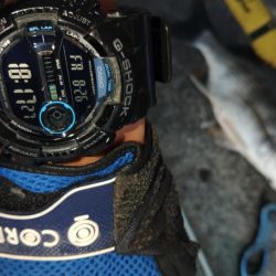 ぶら河川調査！