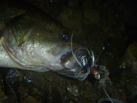 スピナーベイトで