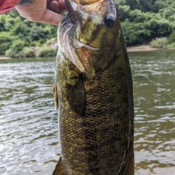 朝イチ トップ勝負