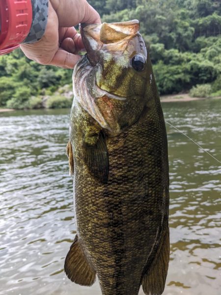 朝イチ トップ勝負