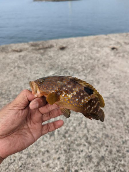 まだまだ完全復旧は時間がかかりそうですね