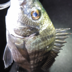 低酸素で食い気がないなぁ