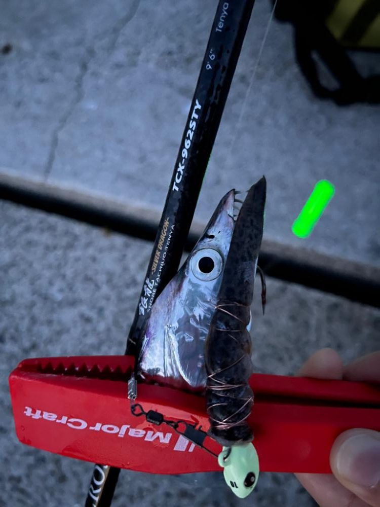 ショアタチウオテンヤ