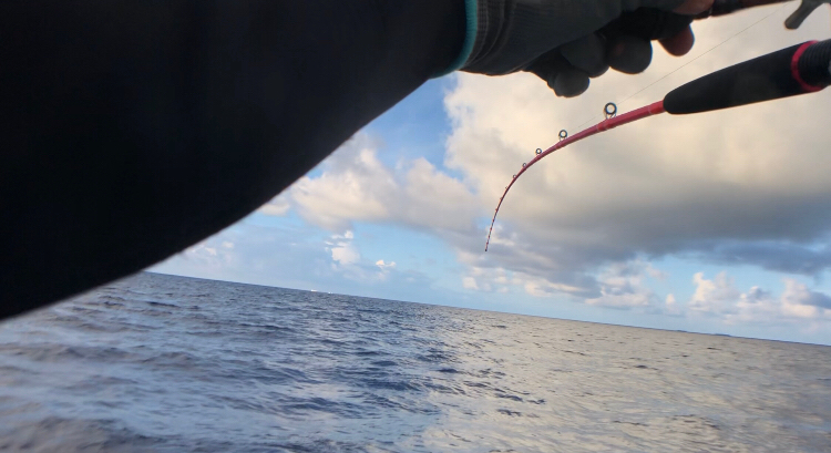 SLJ &タイラバ。リレーで多種の引き！