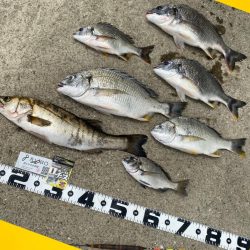 小型を釣りながら良い型を目指し