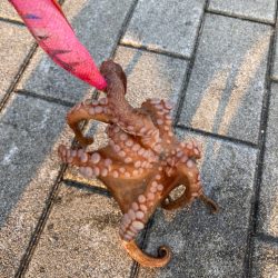 ⭐︎20時間ぶり