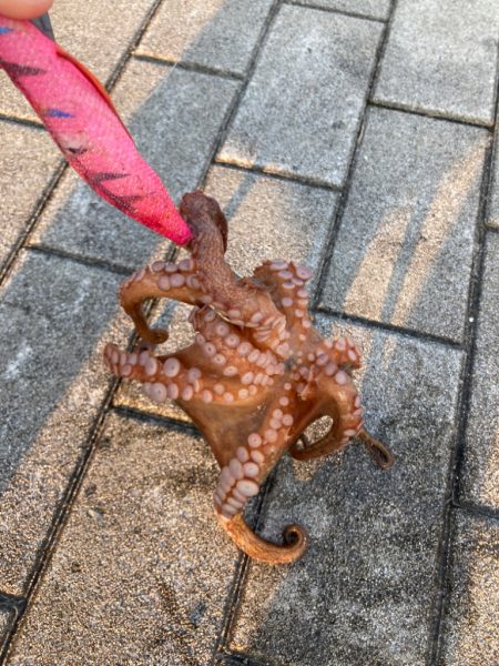 ⭐︎20時間ぶり