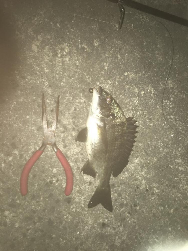 第二回雰囲気あります